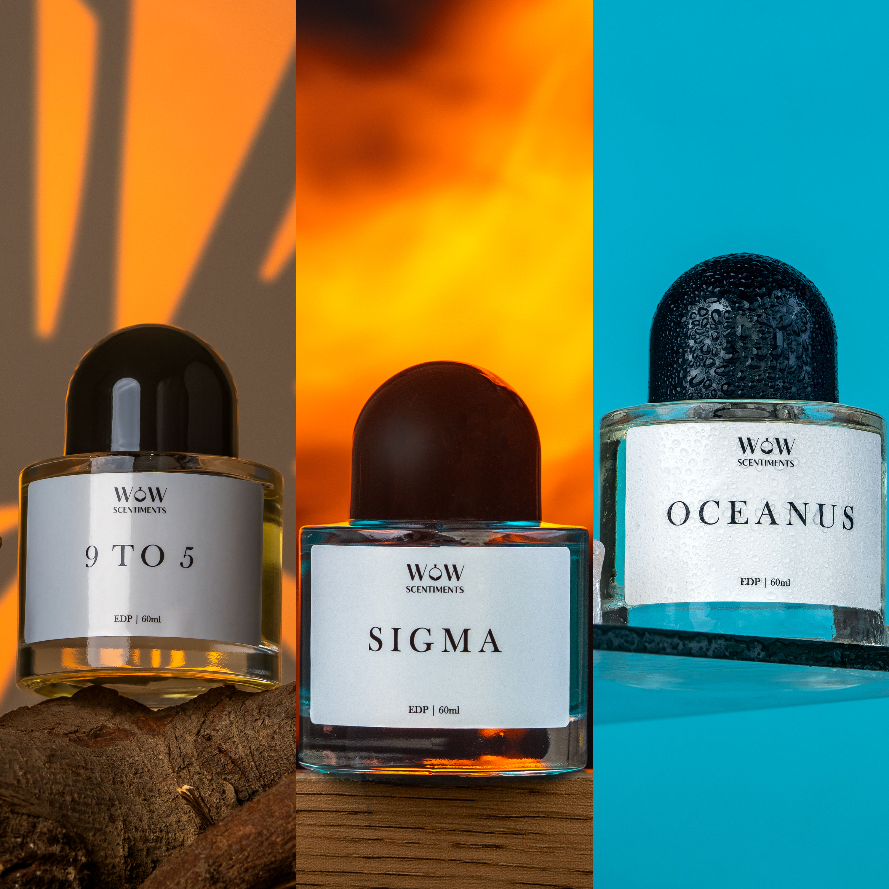 9 to 5 + Sigma + Oceanus